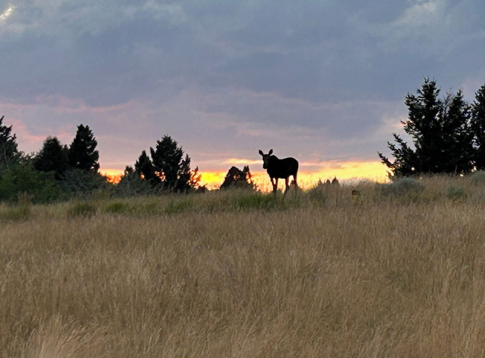 Others 5, Grassy Mountain Ranch, Meagher