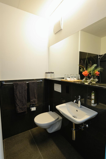 Bathroom 3, Hotel Profis, Rheintal
