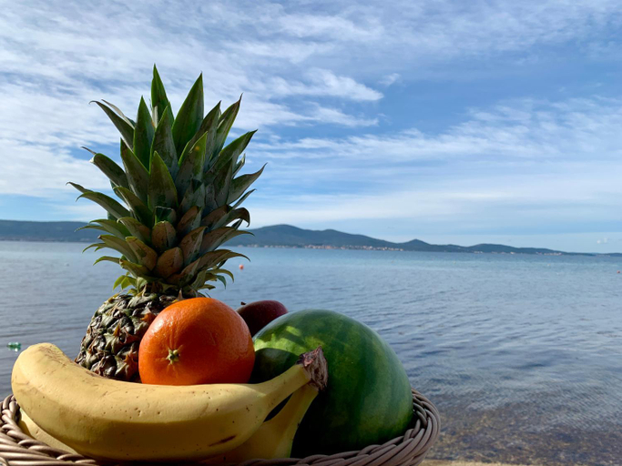 Food & Drinks 4, Mobilhome-Kroatien 2 Premium Mobilheime - direkt am Meer, Sveti Filip i Jakov