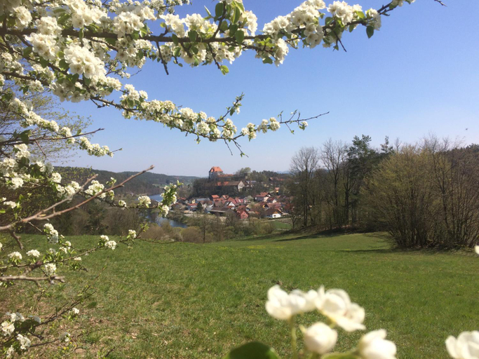 Exterior & Views 2, Appartementhaus Angelika, Schwandorf