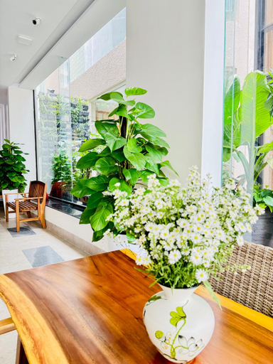 Public Area 3, AN House Hotel & Apartment Da Nang, Da Nang