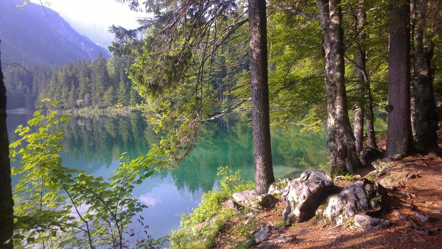 Others 4, Apartments Kot'c, Kranjska Gora