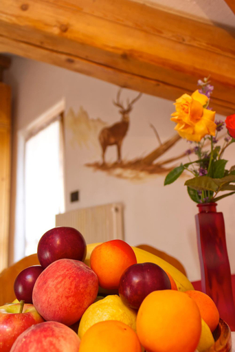 Food & Drinks 5, Residence Miramonti, Trento