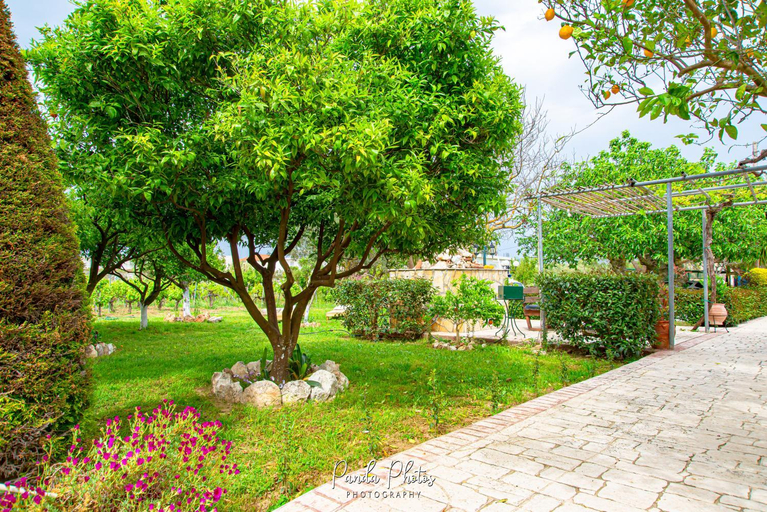 Others 3, Zante Apts, Ionian Islands