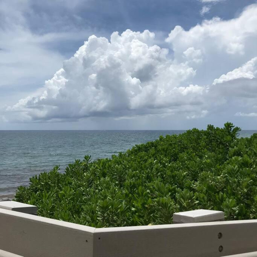 2, Sabal Palm Vacation Homes, Palm Beach