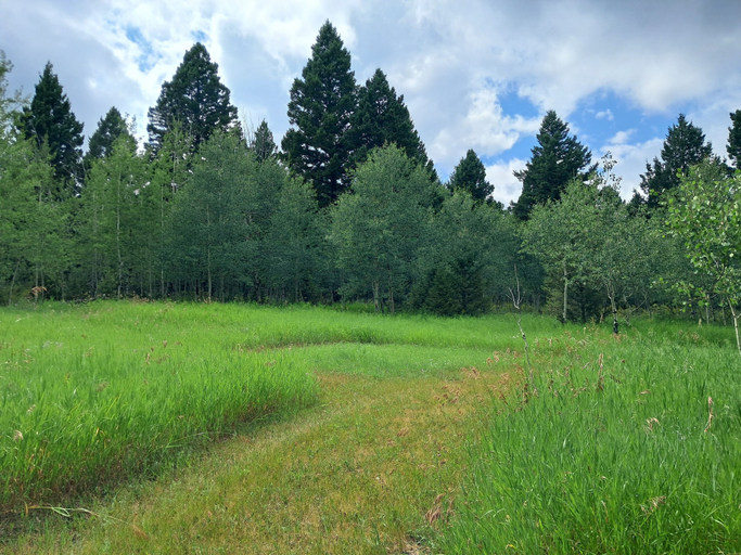 Others 5, Grassy Mountain Ranch, Meagher