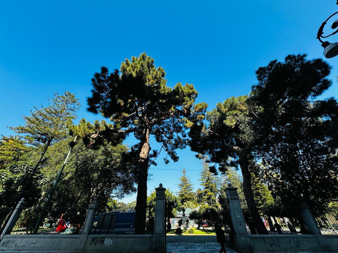 Scenery 6