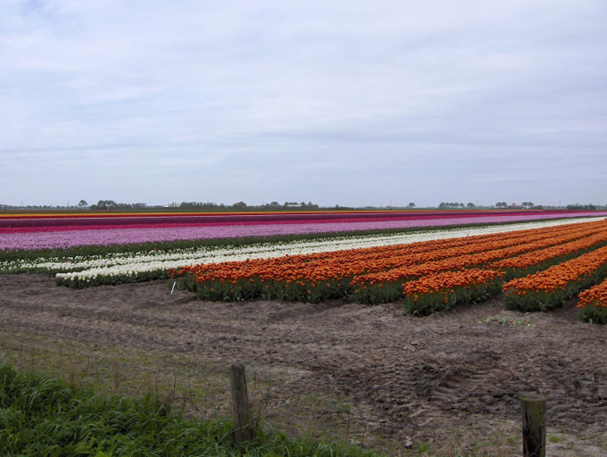 Others 2, Het Burgemeestershuis, Niedorp