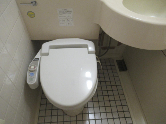 Bathroom 5, Kikuchi Kanko Hotel, Kikuchi