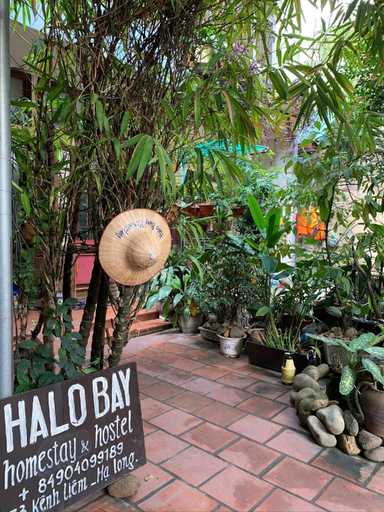 Others 5, Halo Bay Homestay, Hạ Long