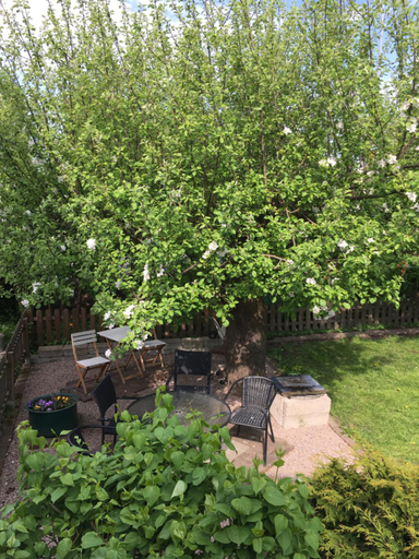 Food & Drinks, Vivans Bed and Self catering, Kristianstad