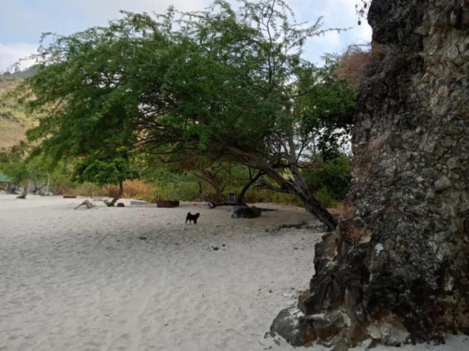 Others 2, Jeremiah Homestay near Masasa Beach, Tingloy