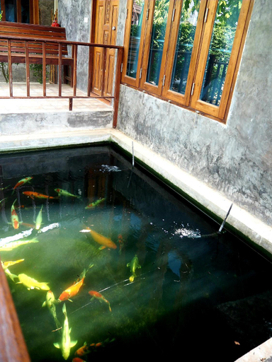 Others 5, Nawiengkae Riverview Resort, Muang Mukdahan