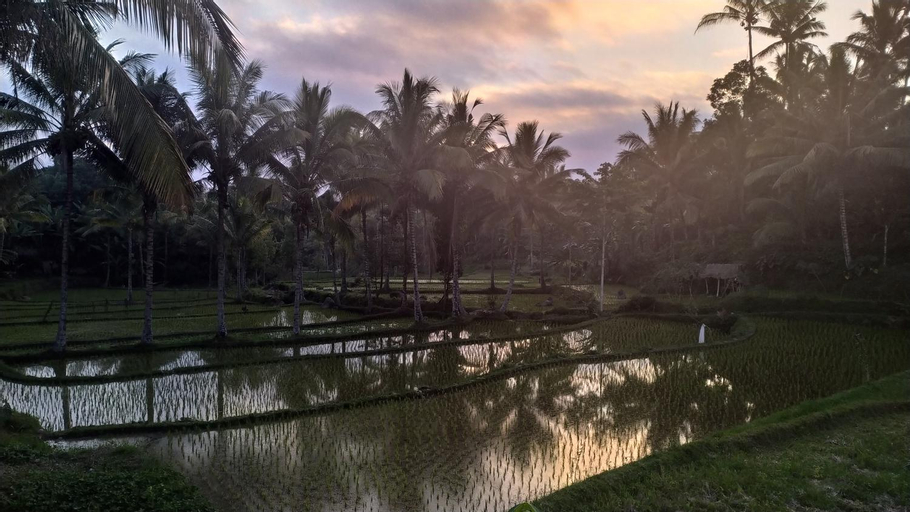 Exterior & Views 5, Bale Kembang Kuning, Lombok