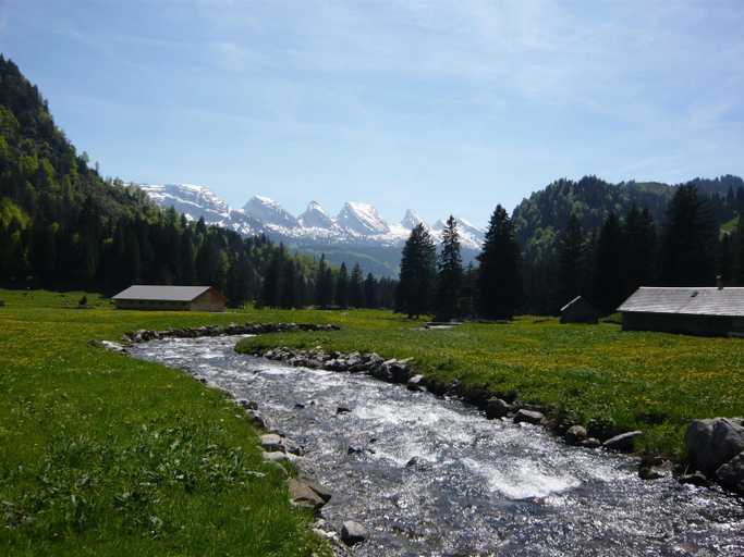 Others 4, Gasthaus Schonenboden, Toggenburg