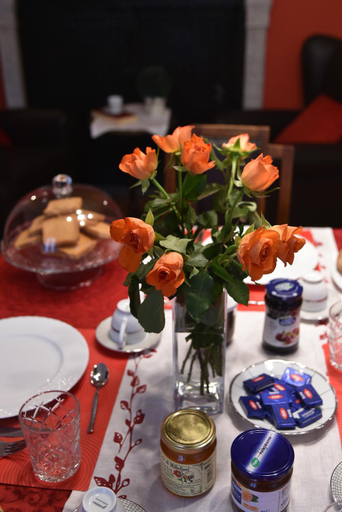 Others 3, B&B Al Giardino Leonor, Trieste