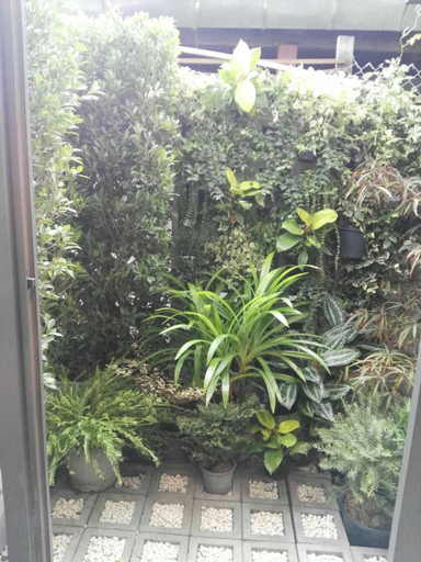 Others 5, 18 In Town Homestay, Muang Chiang Mai