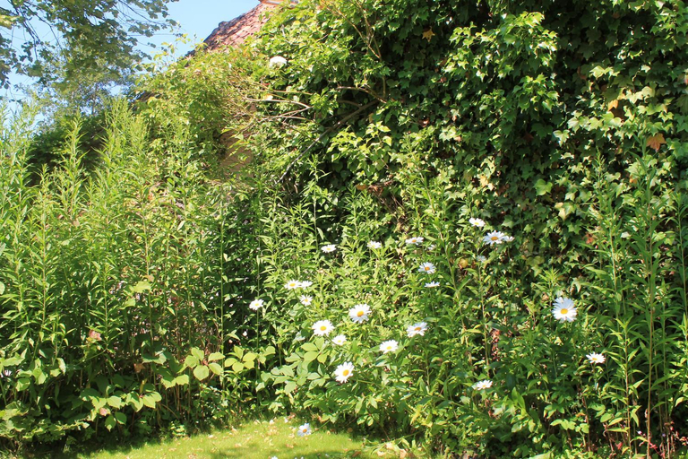 Others 2, Chambre du Rouard LE RUISSEAU, Pas-de-Calais