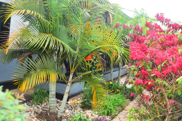 Others 4, Akagera Neighbors, Kayonza