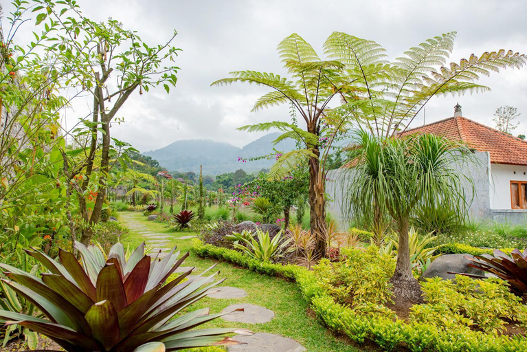 Scenery 4