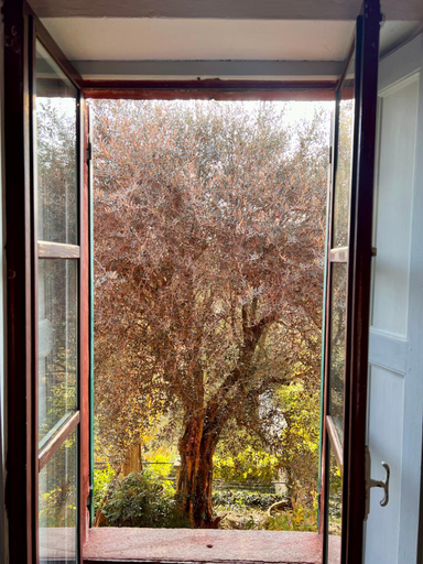 Others 5, Il Talucco B&B, Biella