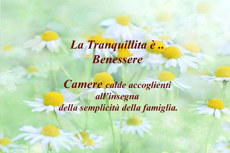 Others 3, Spada Reale, Cuneo