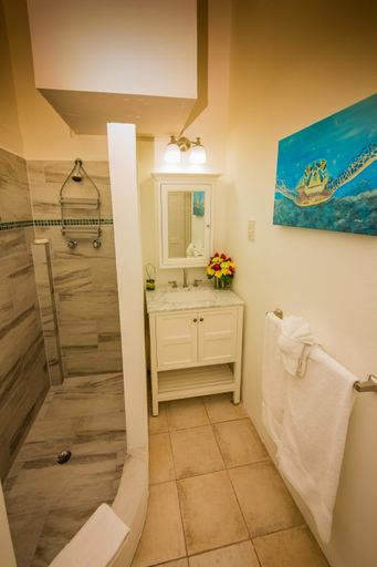 Bathroom, Oasis Marigot
