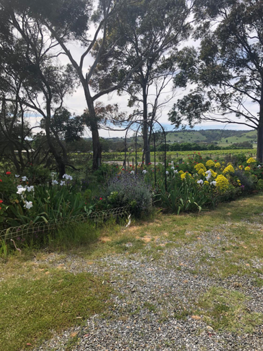 Exterior & Views 3, Bethany Cottages, Barossa - Tanunda