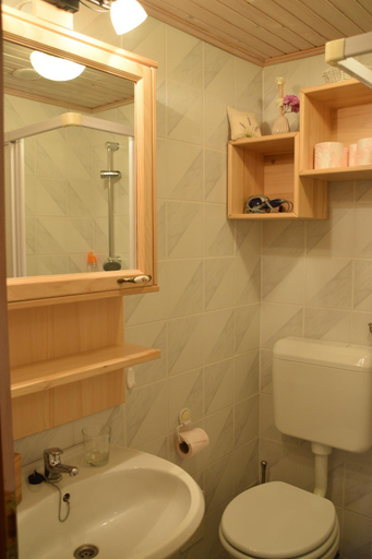 Bathroom 2, Farm Stay "Alpine Dreams", Solcava