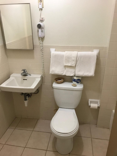 Bathroom 5, Budget Inn of Brownfield, Terry