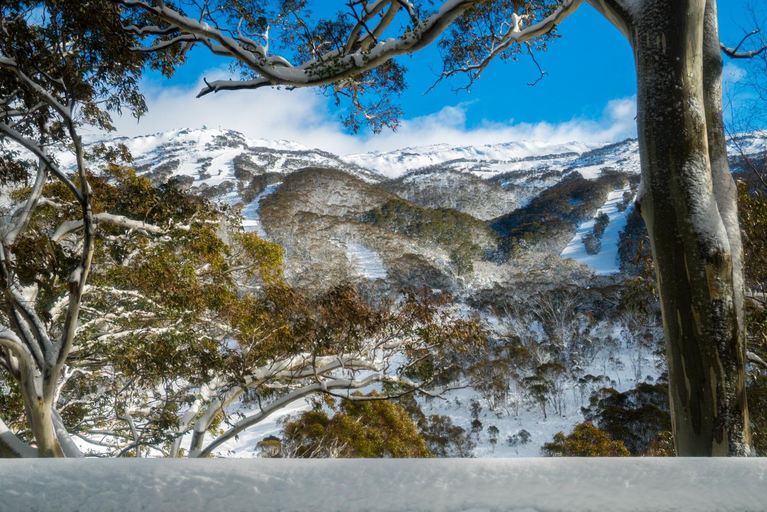 Scenery 6