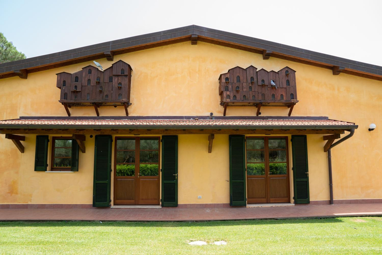 Agriturismo Borgo Bernabei, Grosseto