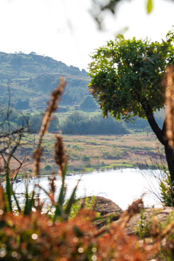 View 4, Woolly Bugger Farm, Sekhukhune