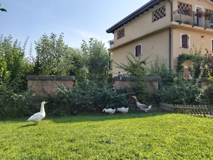 Others 5, B&B La Casa sul Fiume, Mantua