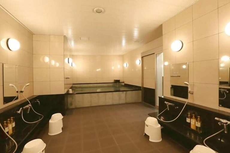 Bathroom, Hotel Alpha-One Tsuruga-Bypass, Tsuruga