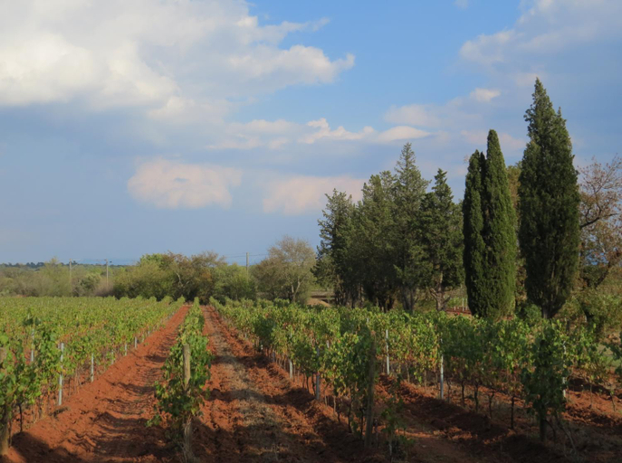 Others 4, Bed and Breakfast La Grande Lauzade, Var