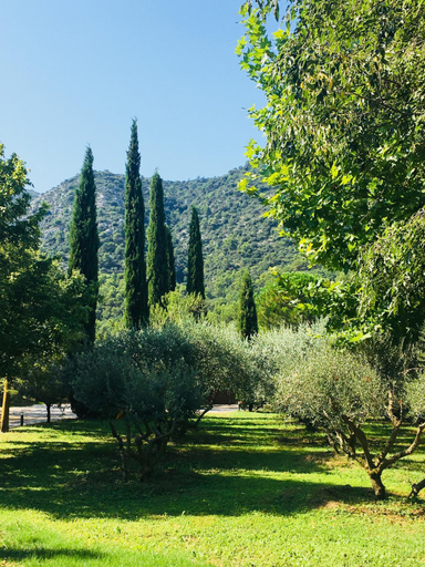 Others 2, Le Champ des Oliviers, Vaucluse