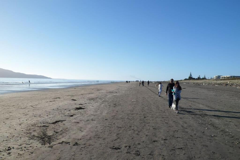 Others 2, Dream Escape for 2, Kapiti Coast