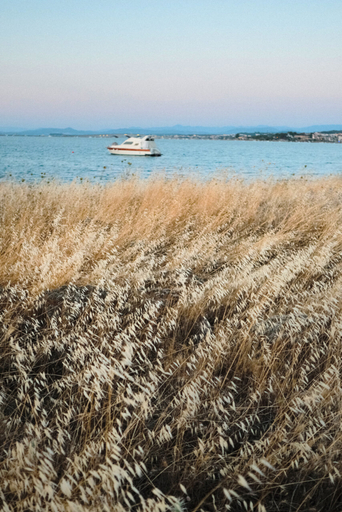 Exterior & Views 2, Zoi Cunda Otel, Ayvalık