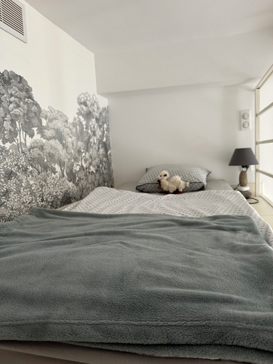 Bedroom 3, nice-flat-nice, Alpes-Maritimes