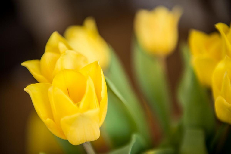 Others 5, au jardin, Wasseramt