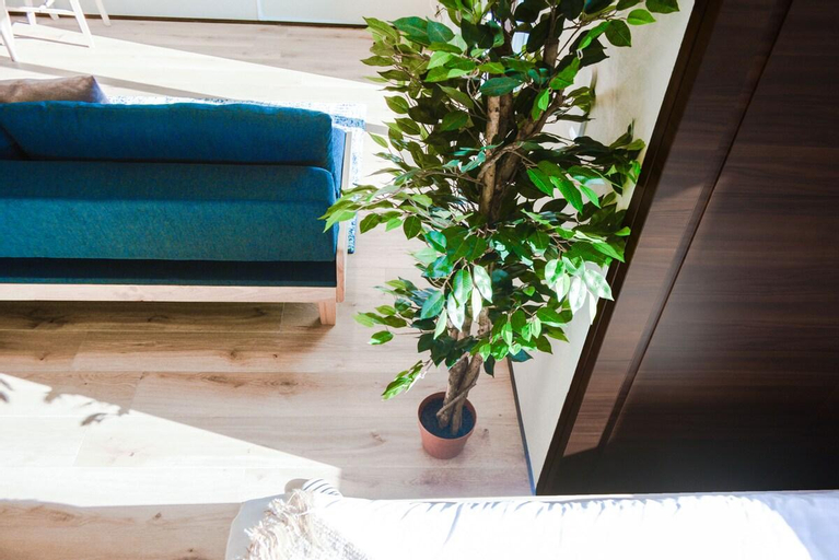 Others 4, High Floor: Bright & Comfy Tsukiji/GInza 1BR Home, Chūō