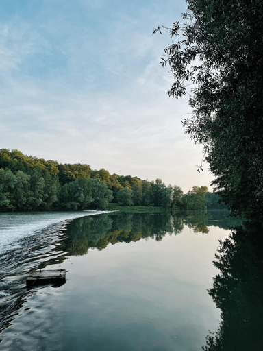 Surrounding environment