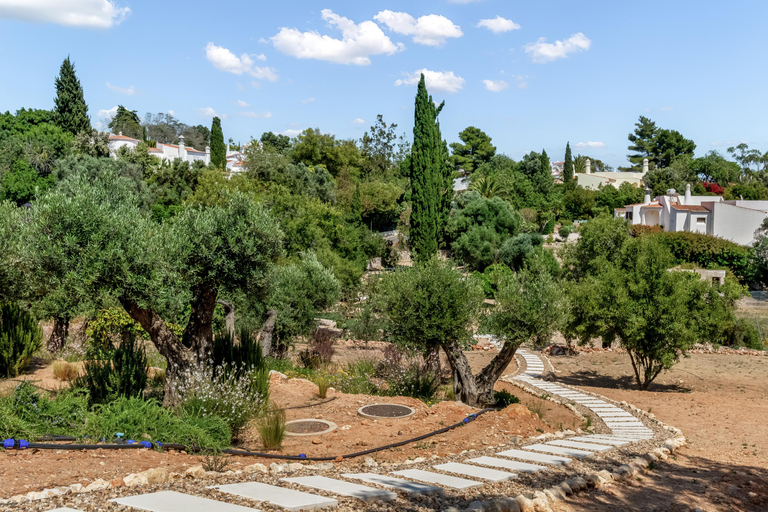 Others 4, Carvoeiro Gardens, Lagoa