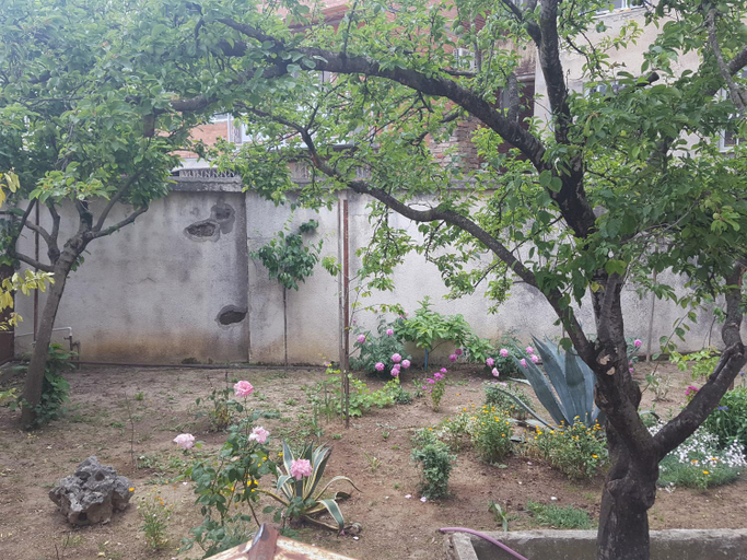 Others 4, Hostel Mana Kutaisi, Kutaisi