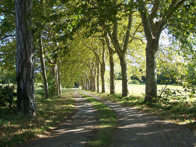 Others 2, Domaine de Las Planques, Haute-Garonne