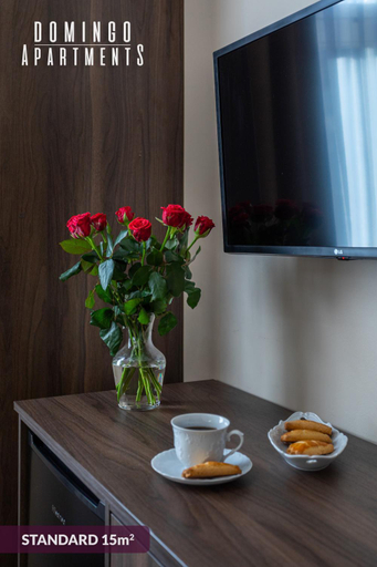 Others 2, DOMINGO Elegant Rooms KRAKOW Old Town, Kraków City