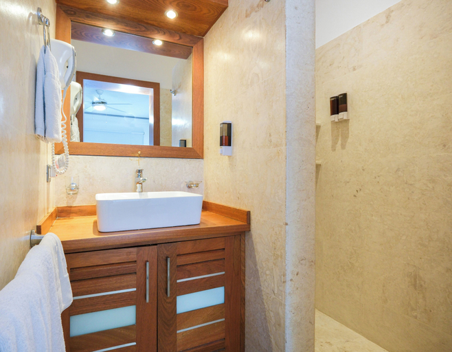 Bathroom 4, Aligio Aparthotel Beachfront, Las Terrenas