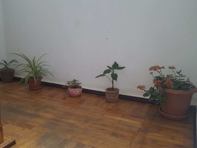 Others 3, Hostel Mana Kutaisi, Kutaisi