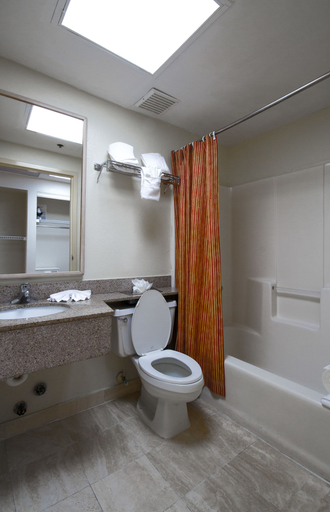 Bathroom 4, Rodeway Inn South Miami-Coral Gables, Miami-Dade